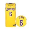 NIKE PERFORMANCE Trikot LeBron James Los Angeles Lakers Dri-FIT Herren Amarillo-field Purple
