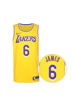 NIKE PERFORMANCE Trikot LeBron James Los Angeles Lakers Dri-FIT Herren Amarillo-field Purple