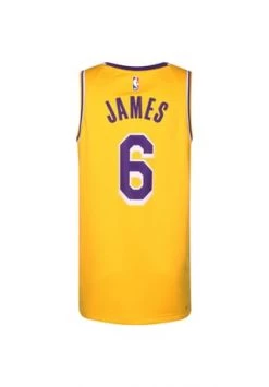 NIKE PERFORMANCE Trikot LeBron James Los Angeles Lakers Dri-FIT Herren Amarillo-field Purple -Jacke Hose Verkäufe unnamed file 1195