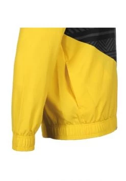 PUMA® Borussia Dortmund Pre-Match Trainingsjacke Herren Gelb/ Schwarz -Jacke Hose Verkäufe unnamed file 1243