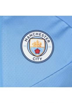 PUMA® Manchester City 1/4 Zip Trainingssweat Herren Hellblau/ Weiß -Jacke Hose Verkäufe unnamed file 1255