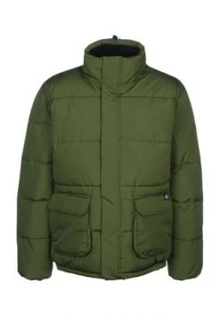 Dickies® Winterjacke Olaton Puffa Grün